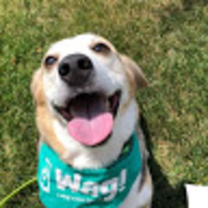 Meet your Posher, Elena